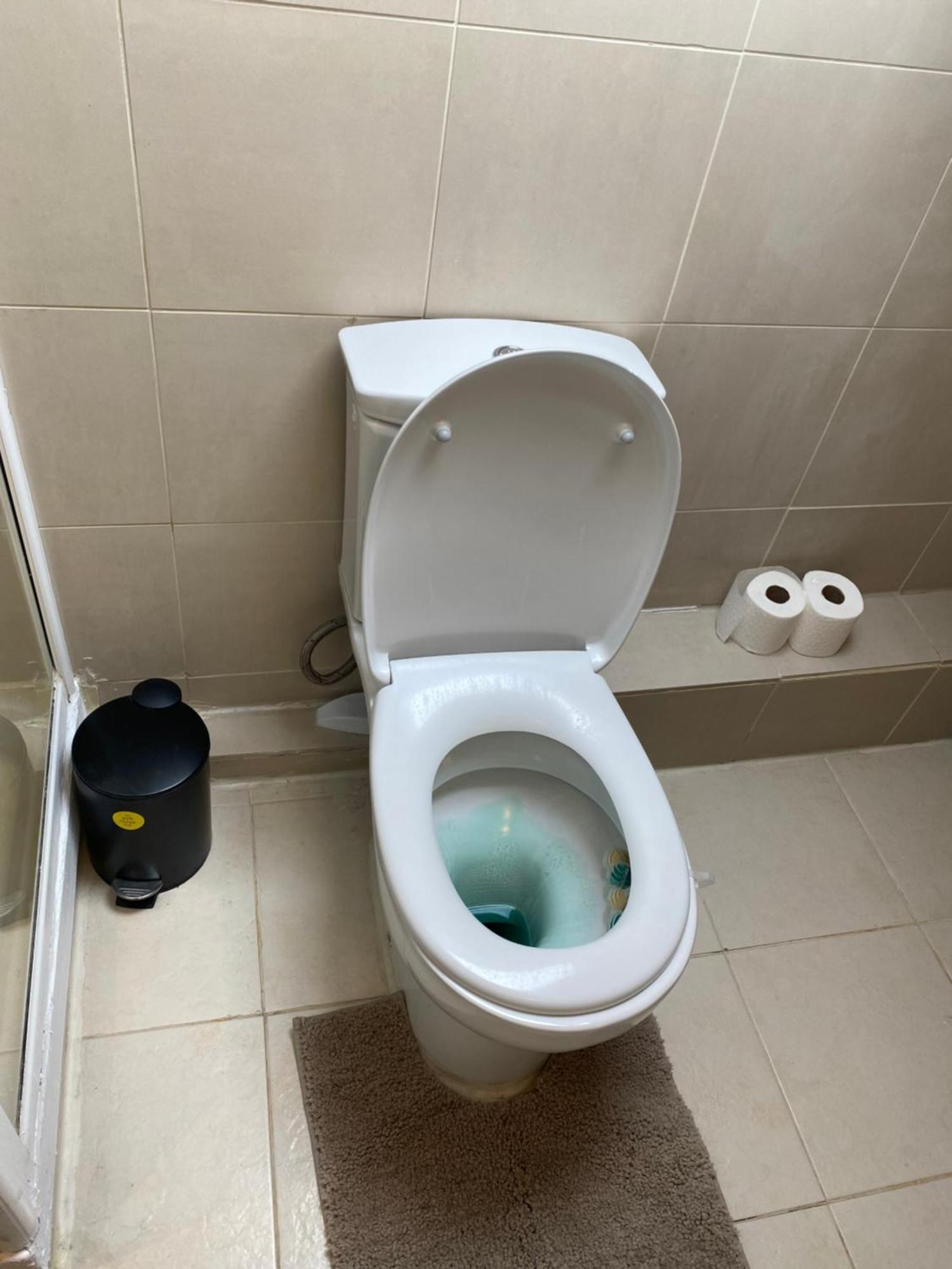 Apartament The *
